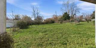 3 Bedroom | 1 Bathroom Home | PET FRIENDLY! Gallery 22