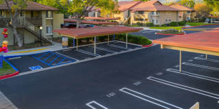 Citrus Place Gallery 67