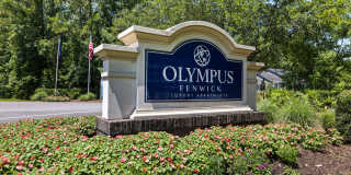 Olympus Fenwick Gallery 34