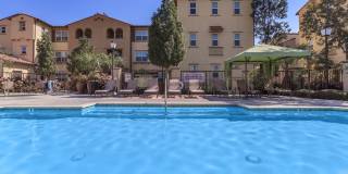 Paseos At Magnolia Luxury Apartment Homes Gallery 48