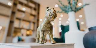 The Scottie Gallery 25