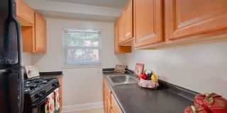 Springfield Gardens Gallery 1