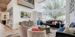 The Pearl Gallery 21