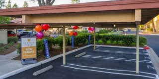 Citrus Place Gallery 64