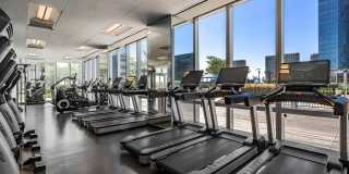 The Modern Gallery 32