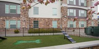 Ivy at Draper Age 55+ Apartment Homes Gallery 26