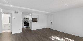 Palm Aire Windward Gallery 7