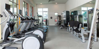 Flora Apartments Gallery 28