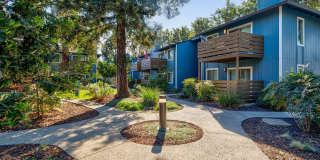 Pacific Commons Gallery 8