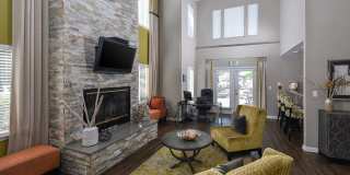 Orchard Park Gallery 18