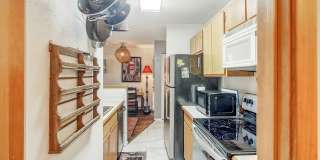 FRISCO ! Furnished! 1 pet negotiable!  An Artist's retreat! Must see. Gallery 10