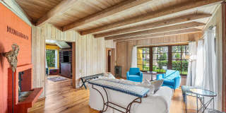 334 Palm Trail Gallery 24