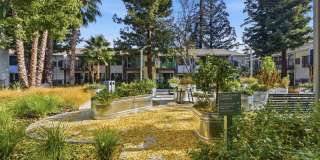 Lorien Ivy Apartments Gallery 36