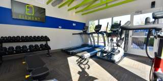 The Element Gallery 33