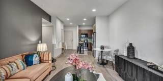 Lantana Round Rock Gallery 8