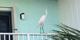 2850 Ocean Shore Boulevard Gallery 22