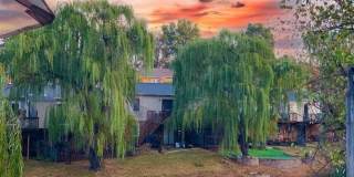 1005 Lakefront Drive Gallery 34