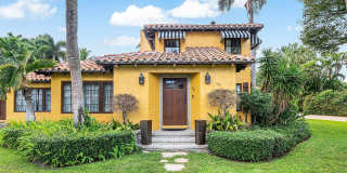 334 Palm Trail Gallery 12
