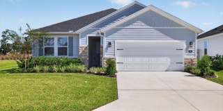 66 TEA OLIVE Drive Gallery 1