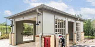 The Kingson Gallery 46