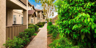 Elan Poway Hills Gallery 19