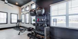 The Carolinian Gallery 24