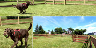 Mallard Landing Gallery 20