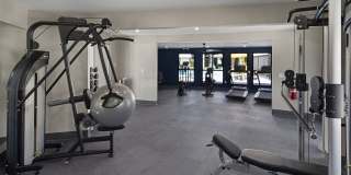 SITE Fifty55 Gallery 7