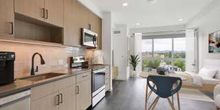 Alloy Sunnyside Gallery 15