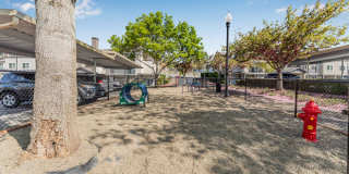 Sofi at Cedar Mill Gallery 32