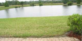 539 HEDGEWOOD Drive Gallery 26