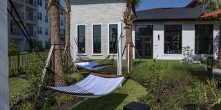 Ilumina Zephyrhills Gallery 27