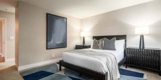 Larkspur Courts Gallery 45