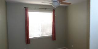 29137 Lighthouse Gallery 17