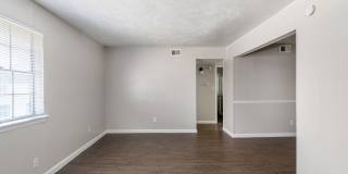 Carisma Gallery 19