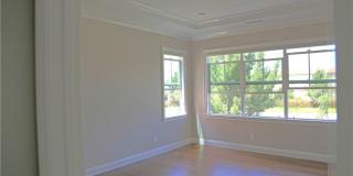 132 Island Coral Gallery 19