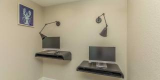 Allora at Spring Valley Gallery 16