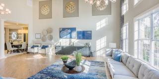 Arbor Village Gallery 14