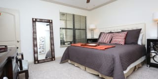 Braeswood Place Gallery 3