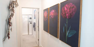 Ascend at Hilltop Gallery 70