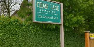 Renovated Apartments at Cedar Lane | Updated Kitchens & LVP Flooring | 1 Month Free! Gallery 3