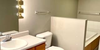 Spacious 3 bed/2 bath - walk to campus! Gallery 20