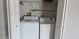 1408 Summertree Springs Avenue Gallery 6