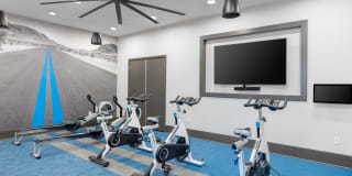 Ocio Plaza del Rio Gallery 22