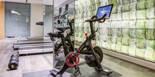 Tellus Apartments Gallery 46