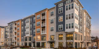 The Wexley at 100 Gallery 30