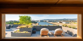 Star Harbor Gallery 36