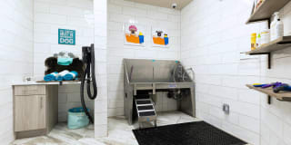 Cyan Craig Ranch Apartments Gallery 24