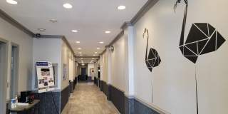 The Flamingo Gallery 3