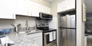 The Harrison/Marc Gallery 2